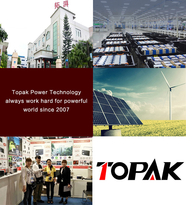 Development History-Shenzhen topak new energy technology CO.LTD.
