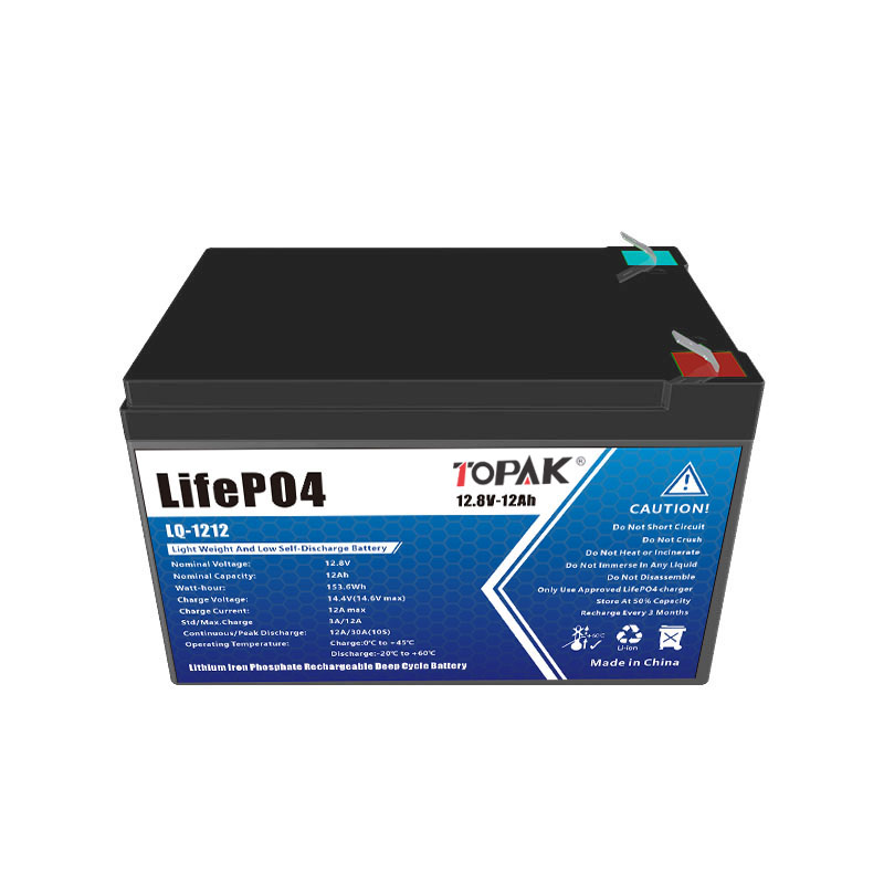 LifePO4 battery