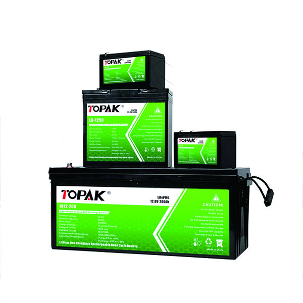 Customization process and precautions for lithium batteries-Shenzhen topak new energy technology CO.LTD.